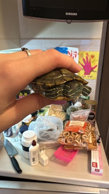 WhatsApp Image 2025-01-13 at 13.17.36.jpeg