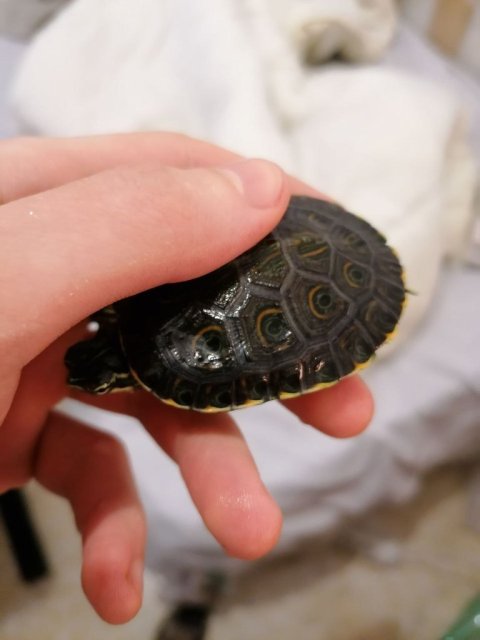 photo_2025-01-09_19-36-51 (2).jpg