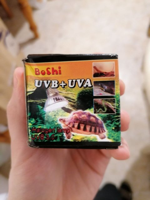 photo_2025-01-09_19-36-52 (2).jpg