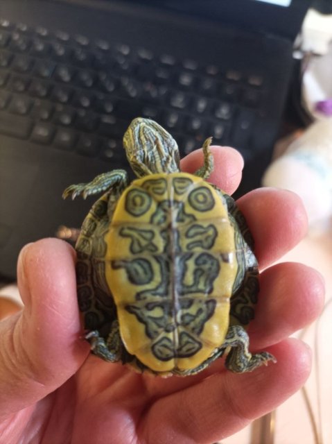 photo_2025-01-10_00-34-42 (2).jpg