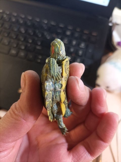 photo_2025-01-10_00-34-42 (3).jpg