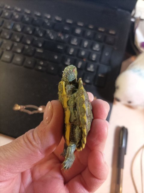 photo_2025-01-10_00-34-42 (4).jpg