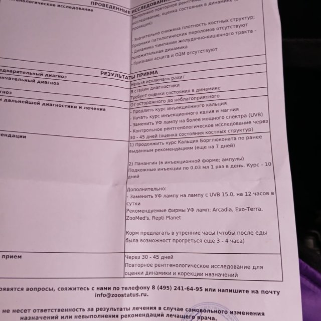 Изображение WhatsApp 2025-02-19 в 16.09.55_a8ee32bf.jpg