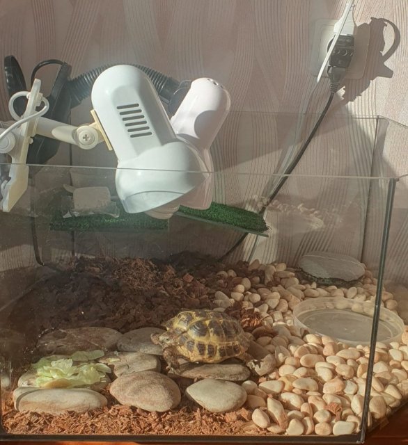 Изображение WhatsApp 2025-02-20 в 11.56.42_2f14b962.jpg