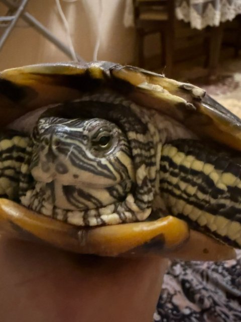 WhatsApp Image 2025-02-02 at 18.42.06.jpeg