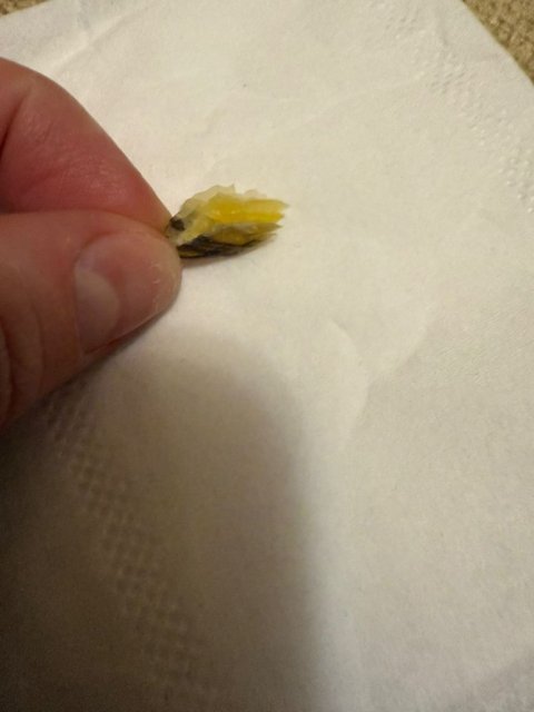 WhatsApp Image 2025-02-02 at 18.51.28.jpeg