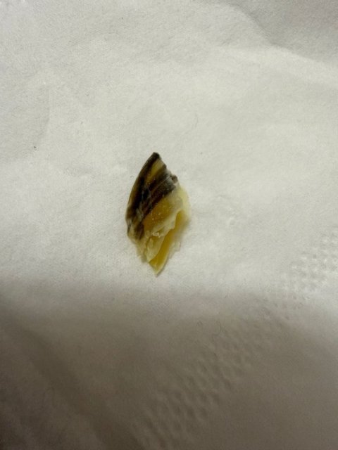 WhatsApp Image 2025-02-02 at 18.51.29.jpeg