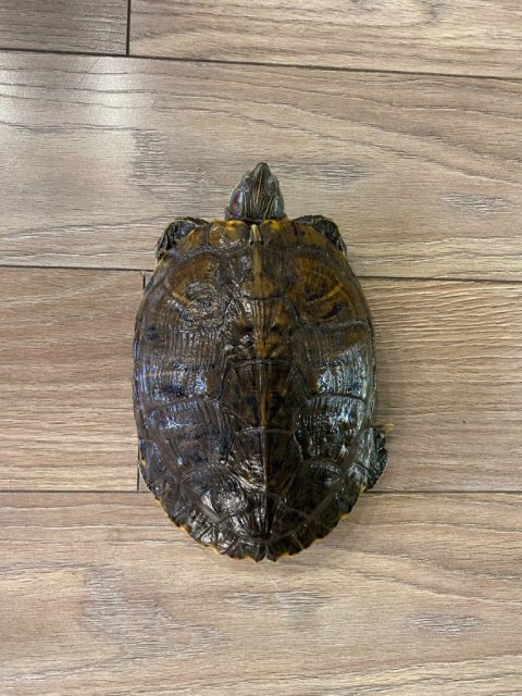 photo_2025-02-01 14.24.16.jpeg