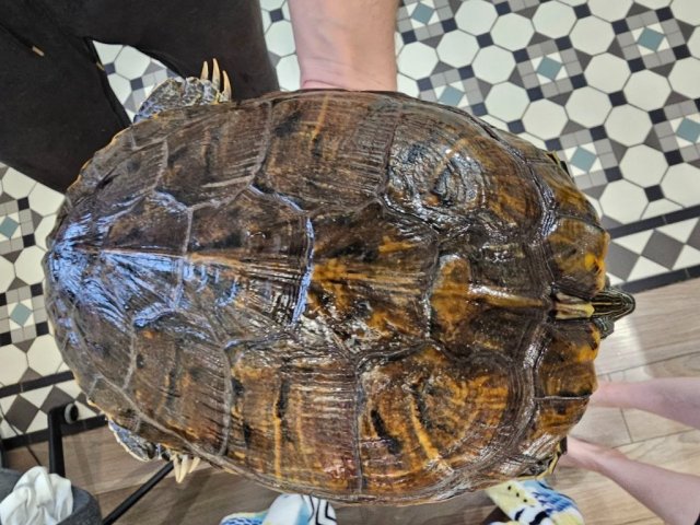 photo_2025-02-01 14.24.26.jpeg