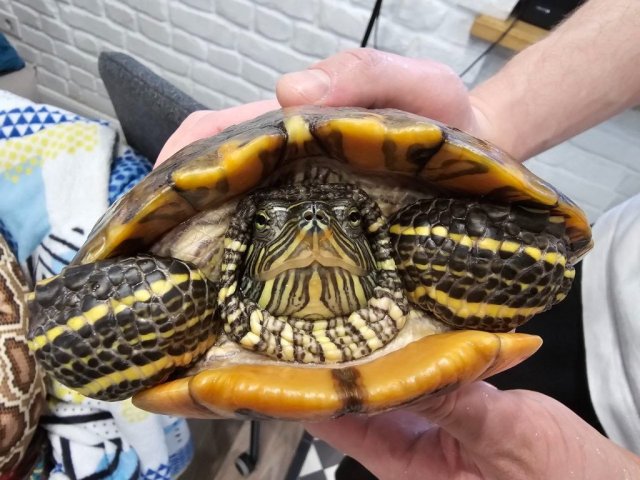 photo_2025-02-01 14.24.32.jpeg