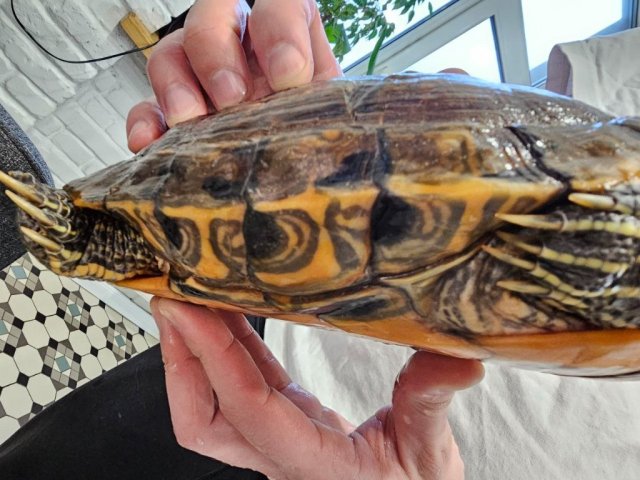 photo_2025-02-01 14.24.36.jpeg