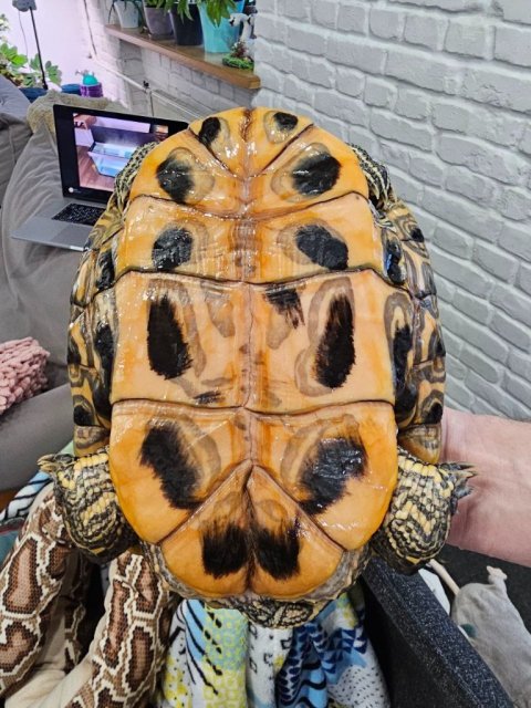 photo_2025-02-01 14.24.43.jpeg