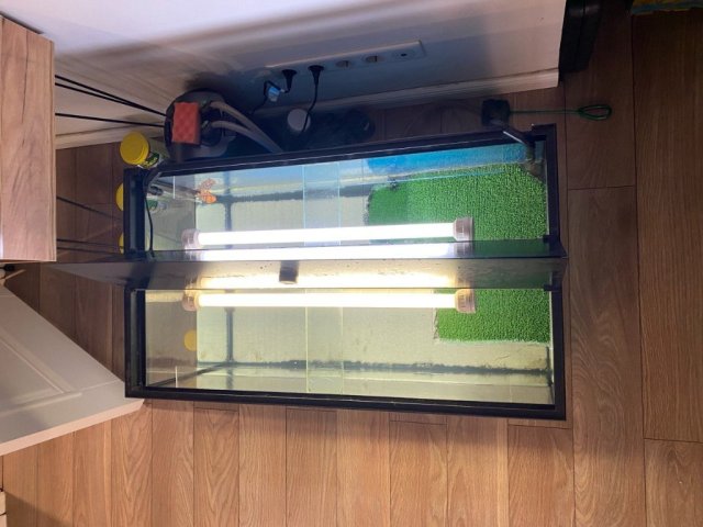 photo_2025-02-01 14.25.28.jpeg