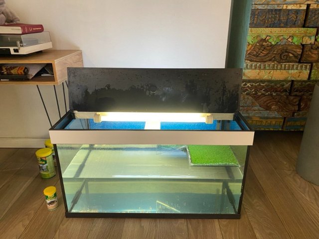 photo_2025-02-01 14.25.34.jpeg