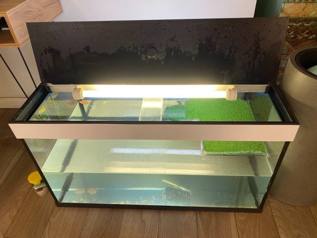 photo_2025-02-01 14.26.39.jpeg