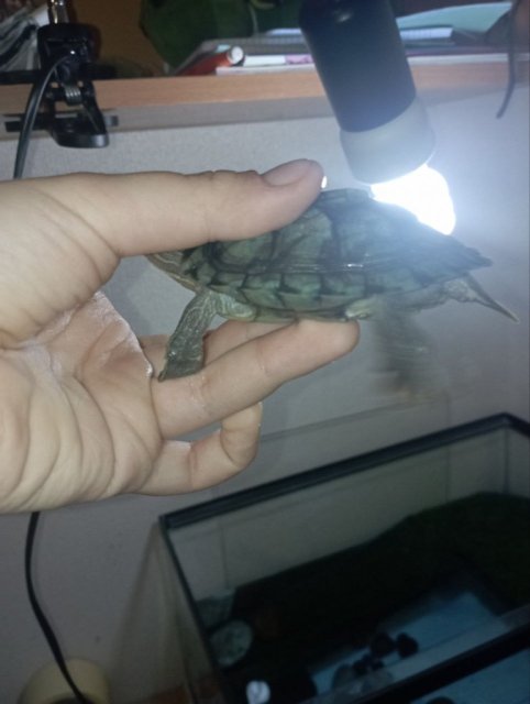 photo_2025-02-08_07-41-54 (2).jpg