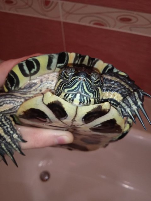 photo_2025-02-10_09-54-56 (2).jpg