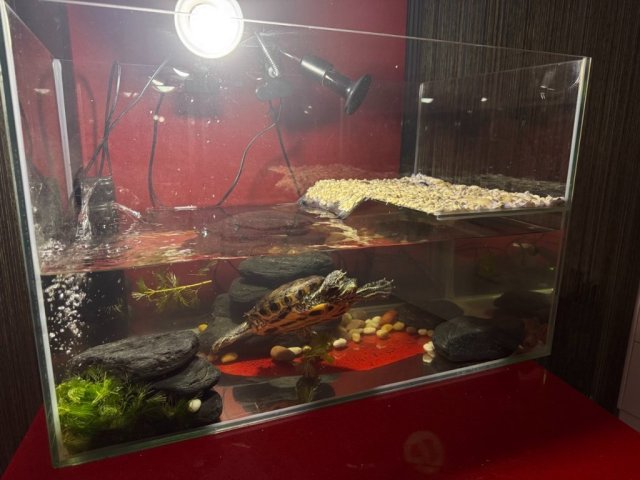 2025-03-05 19.04.44.jpg