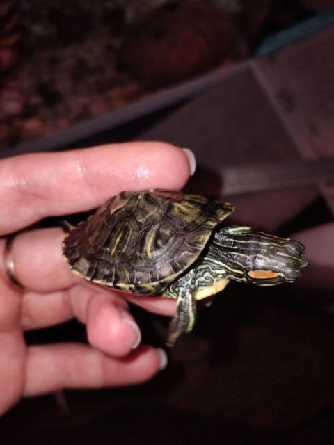 photo_2025-03-16_14-03-10 (2).jpg