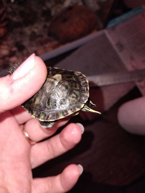 photo_2025-03-16_14-03-10 (3).jpg