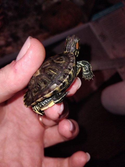 photo_2025-03-16_14-03-10 (4).jpg