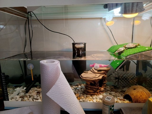 photo_2025-03-16_14-03-11 (2).jpg