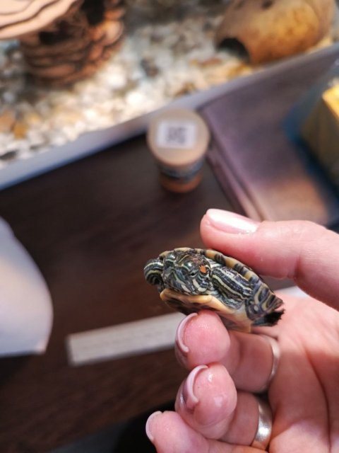 photo_2025-03-16_14-14-37 (2).jpg