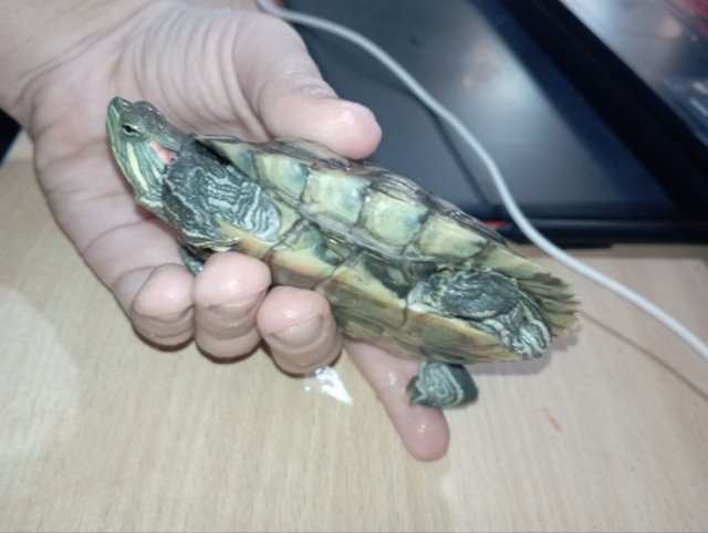 photo_2025-03-17_18-33-47 (2).jpg