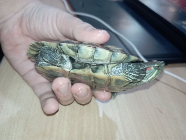 photo_2025-03-17_18-33-47 (3).jpg