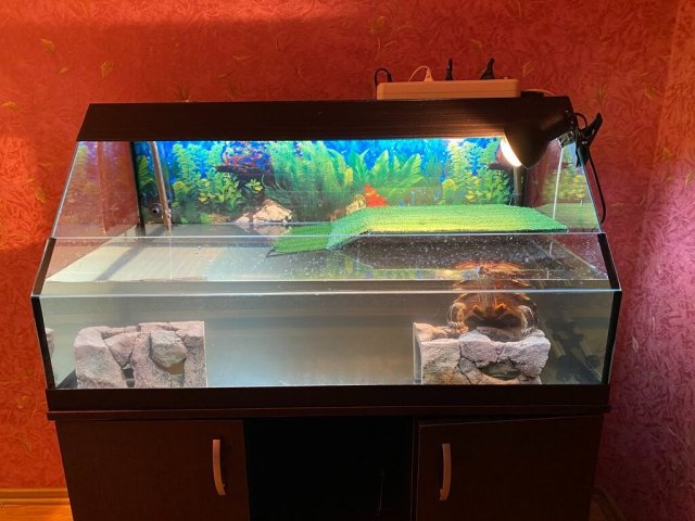 IMG_8452.jpeg.2fa276989097c010e7a9d1f644ac84ba (2).jpeg