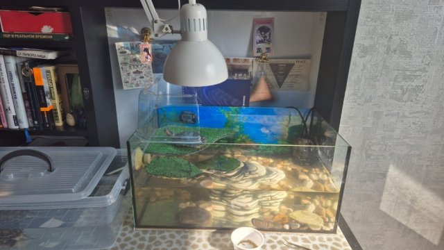 WhatsApp Image 2025-04-02 at 15.33.07.jpeg