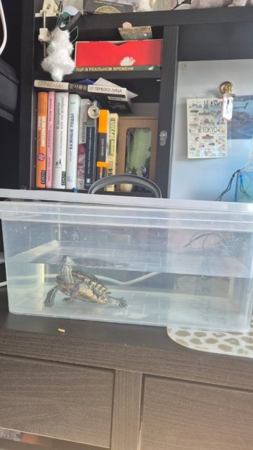 WhatsApp Image 2025-04-02 at 15.33.38.jpeg