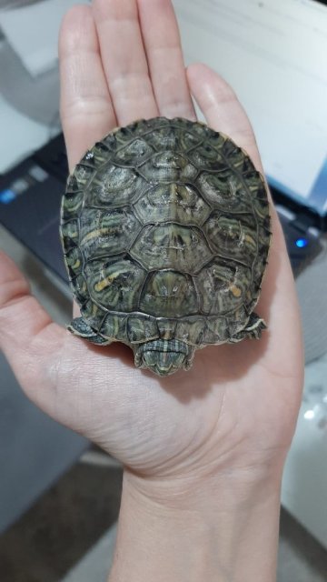 WhatsApp Image 2025-04-10 at 12.05.04 (1).jpeg