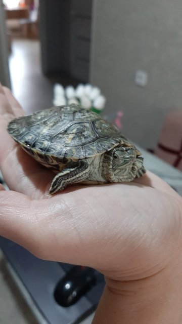 WhatsApp Image 2025-04-10 at 12.05.04 (2).jpeg