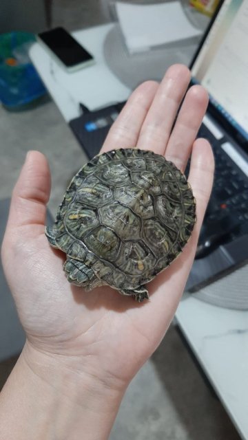 WhatsApp Image 2025-04-10 at 12.05.06 (1).jpeg