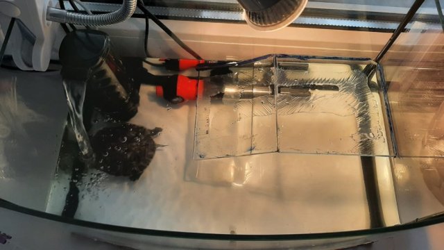 WhatsApp Image 2025-04-10 at 12.05.03.jpeg