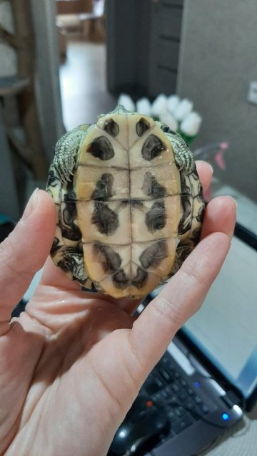 WhatsApp Image 2025-04-10 at 12.05.04.jpeg