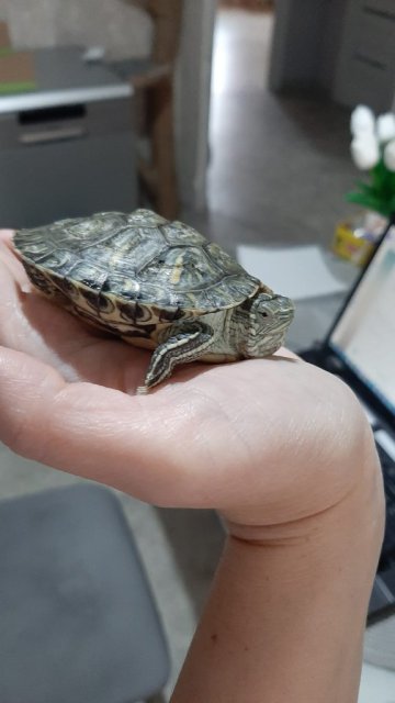 WhatsApp Image 2025-04-10 at 12.05.05.jpeg