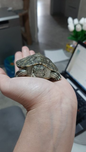 WhatsApp Image 2025-04-10 at 12.05.06.jpeg