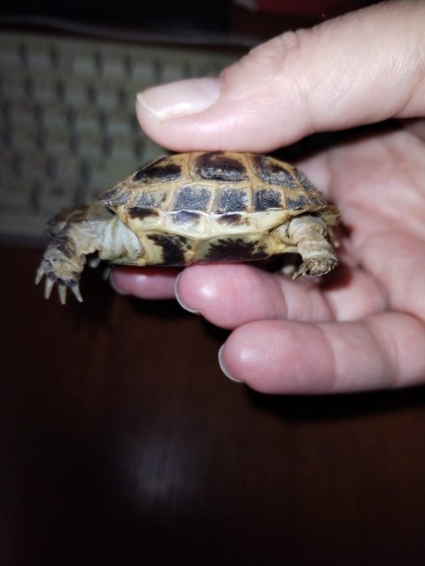 WhatsApp Image 2025-04-28 at 23.14.54.jpeg