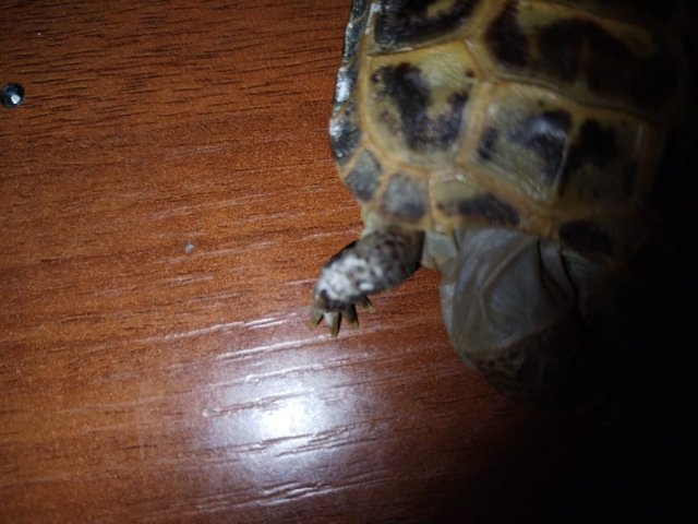 WhatsApp Image 2025-04-28 at 23.15.20.jpeg