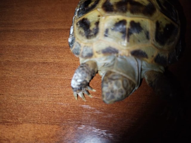 WhatsApp Image 2025-04-28 at 23.15.29.jpeg