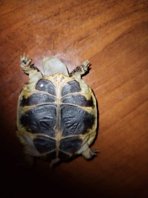 WhatsApp Image 2025-04-28 at 23.16.30.jpeg