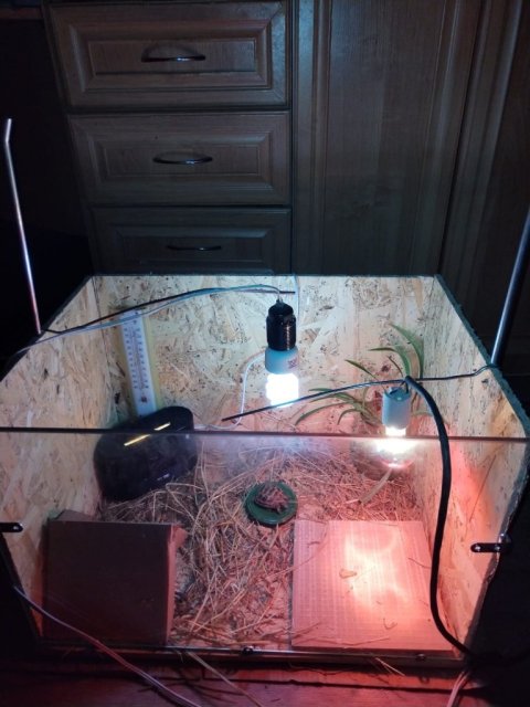 WhatsApp Image 2025-04-28 at 23.16.48.jpeg