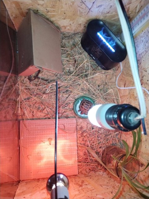 WhatsApp Image 2025-04-28 at 23.17.21.jpeg