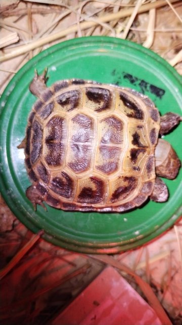 WhatsApp Image 2025-04-28 at 23.18.58.jpeg