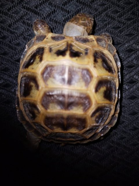 WhatsApp Image 2025-04-29 at 00.25.22.jpeg