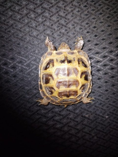 WhatsApp Image 2025-04-29 at 00.25.33.jpeg