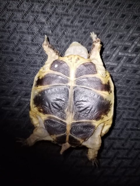 WhatsApp Image 2025-04-29 at 00.25.41.jpeg