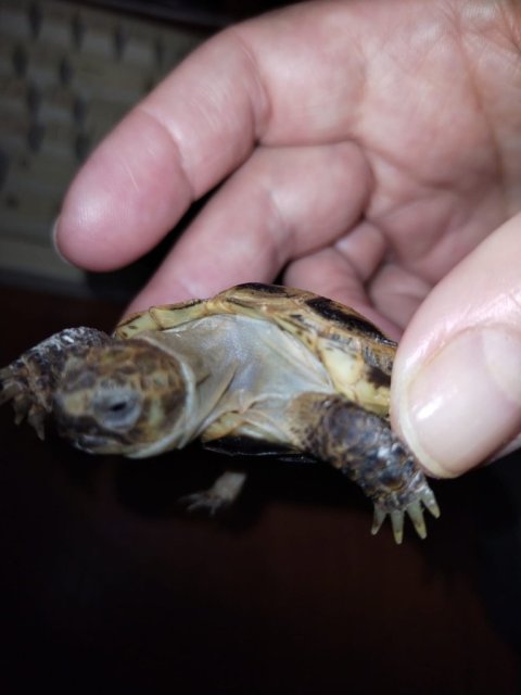 WhatsApp Image 2025-04-29 at 00.26.10.jpeg